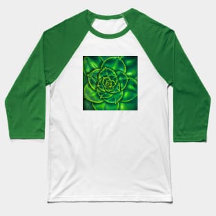 Echeveria Green Prince Baseball T-Shirt